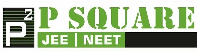 P Square (Parag Patel) P Square (Parag Patel)